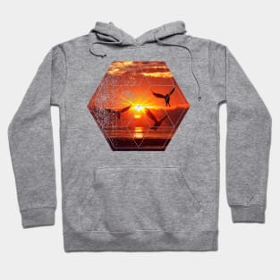 Nature and Geometry Hoodie